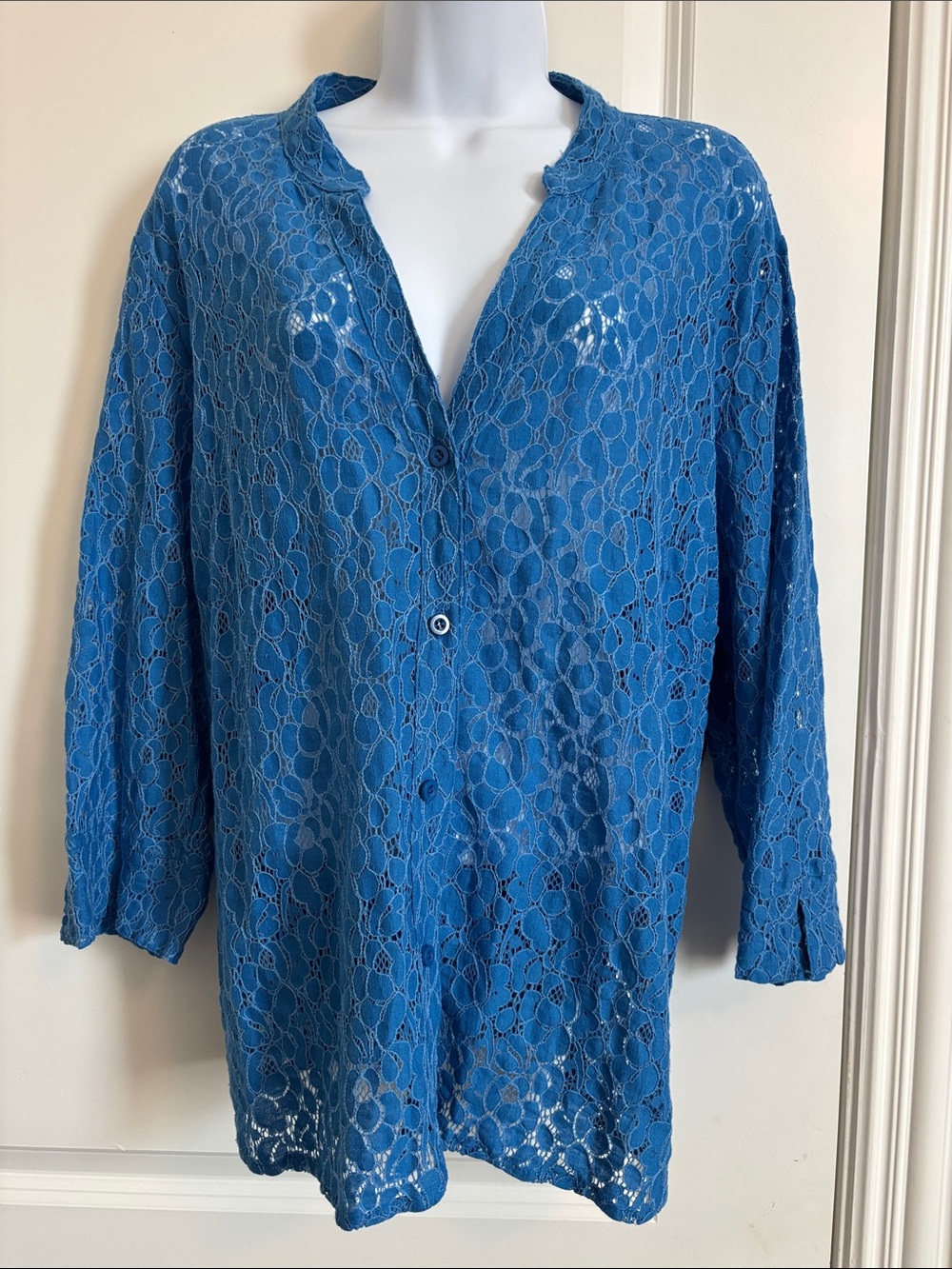 Kim Rogers Blue Lace Button-Front Top 3XL